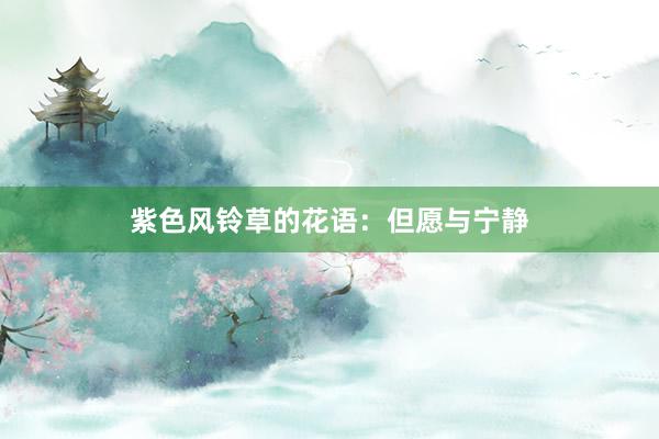 紫色风铃草的花语：但愿与宁静